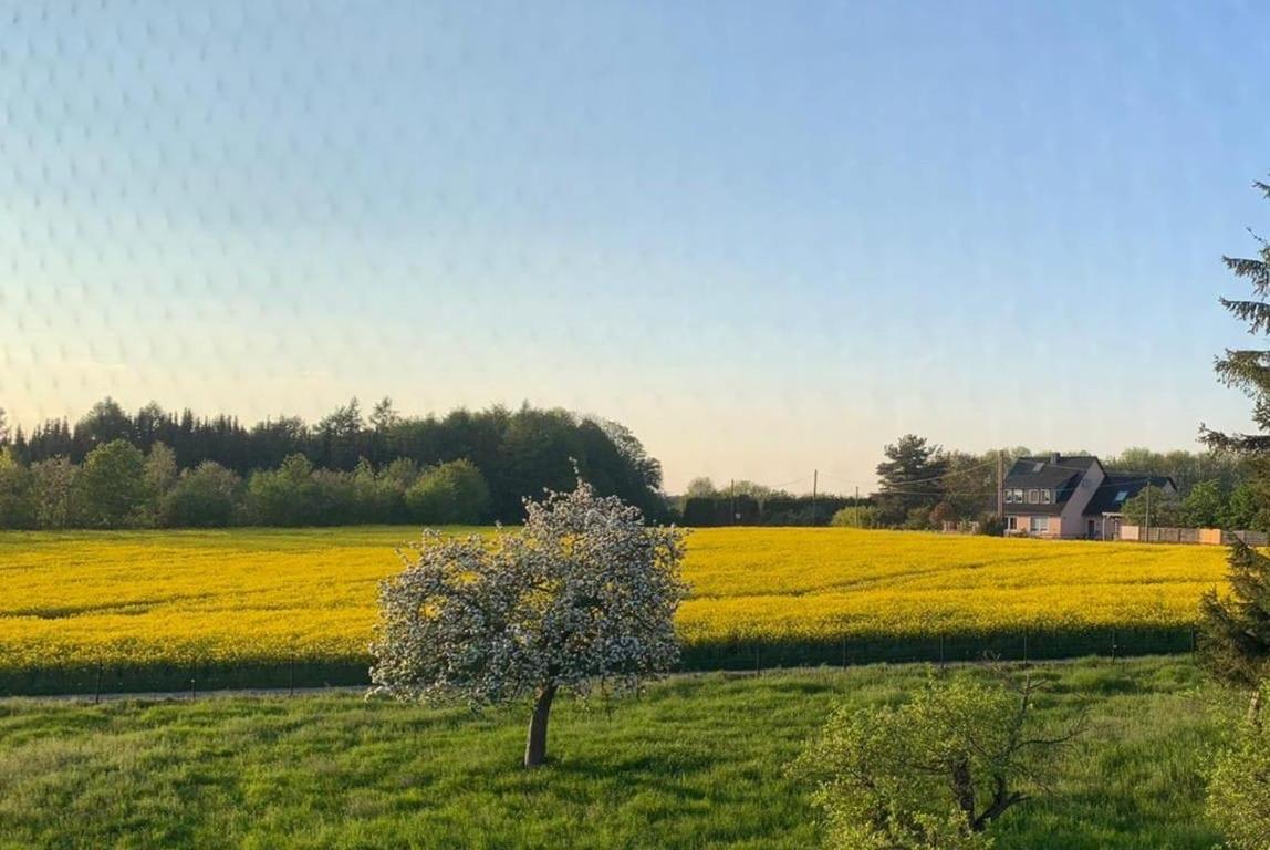 Апартаменты Kleine Auszeit Mit Aussicht Velbert Toenisheide Экстерьер фото